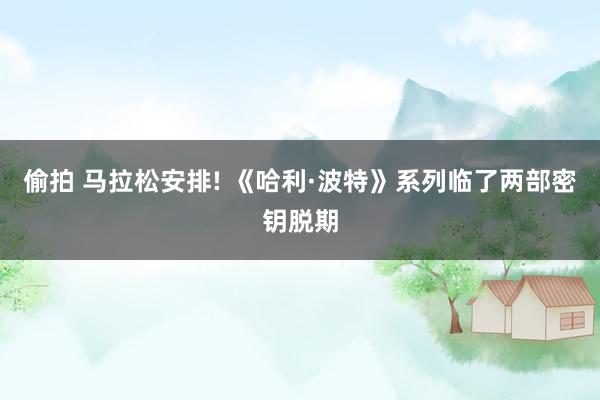 偷拍 马拉松安排! 《哈利·波特》系列临了两部密钥脱期