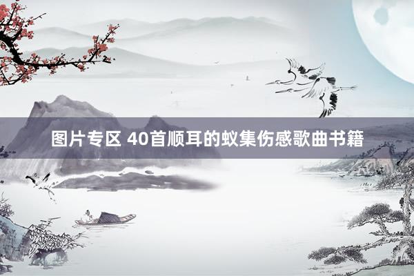 图片专区 40首顺耳的蚁集伤感歌曲书籍