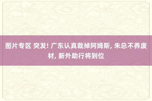 图片专区 突发! 广东认真裁掉阿姆斯， 朱总不养废材， 新外助行将到位