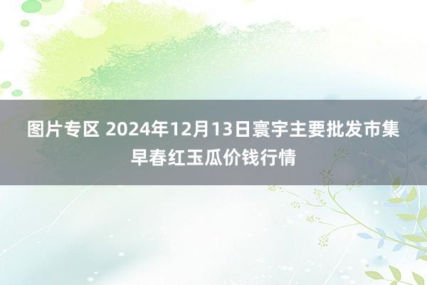 图片专区 2024年12月13日寰宇主要批发市集早春红玉瓜价钱行情