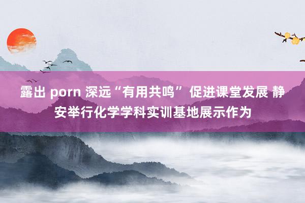 露出 porn 深远“有用共鸣” 促进课堂发展 静安举行化学学科实训基地展示作为