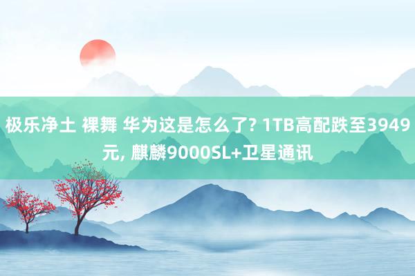 极乐净土 裸舞 华为这是怎么了? 1TB高配跌至3949元， 麒麟9000SL+卫星通讯