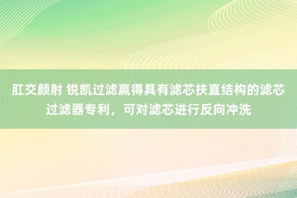 肛交颜射 锐凯过滤赢得具有滤芯扶直结构的滤芯过滤器专利，可对滤芯进行反向冲洗