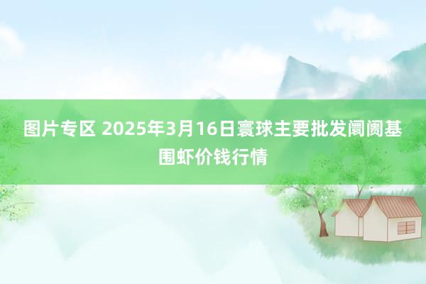 图片专区 2025年3月16日寰球主要批发阛阓基围虾价钱行情