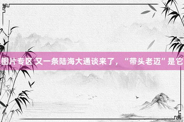 图片专区 又一条陆海大通谈来了，“带头老迈”是它
