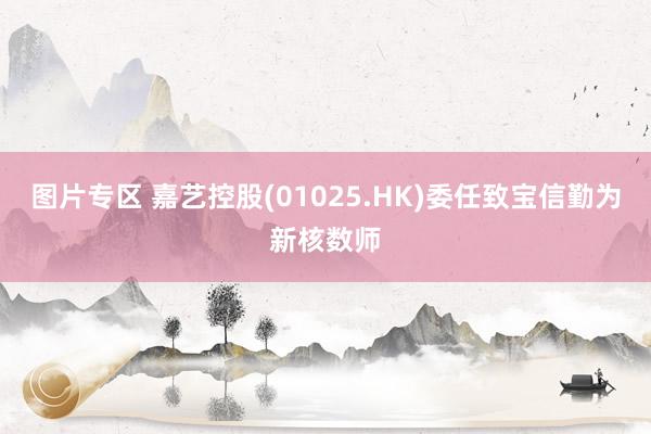 图片专区 嘉艺控股(01025.HK)委任致宝信勤为新核数师